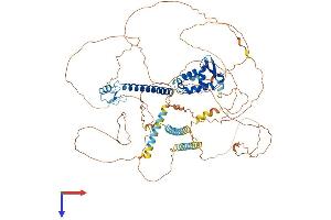 AlphaFold protein structure predicition of Mouse Recombinant Foxp4 Protein, UniprotID Q9DBY0