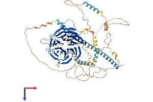 AlphaFold protein structure predicition of Human Recombinant STRN3 Protein, UniprotID Q13033