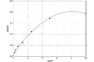 Protein O-Linked Mannose Beta1,2-N-Acetylglucosaminyltransferase (POMGNT1) ELISA Kit