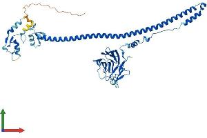 AlphaFold protein structure predicition of Mouse Recombinant Trim69 Protein, UniprotID Q80X56