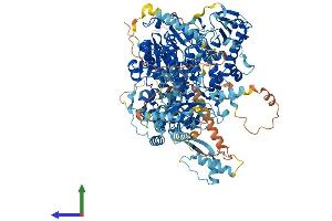 AlphaFold protein structure predicition of Mouse Recombinant Polg Protein, UniprotID P54099