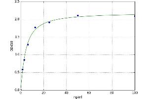 A typical standard curve