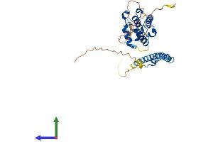 AlphaFold protein structure predicition of Mouse Recombinant Mapre2 Protein, UniprotID Q8R001