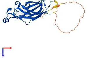 AlphaFold protein structure predicition of Mouse Recombinant Asf1b Protein, UniprotID Q9DAP7
