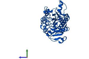 AlphaFold protein structure predicition of Mouse Recombinant Grhpr Protein, UniprotID Q91Z53