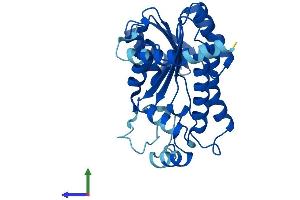 AlphaFold protein structure predicition of Mouse Recombinant Dhrs3 Protein, UniprotID O88876