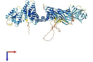 AlphaFold protein structure predicition of Human Recombinant TRAPPC10 Protein, UniprotID P48553