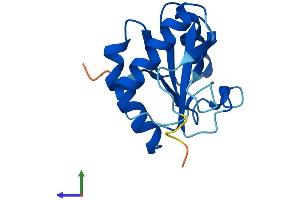 AlphaFold protein structure predicition of Mouse Recombinant Txnl4a Protein, UniprotID P83877