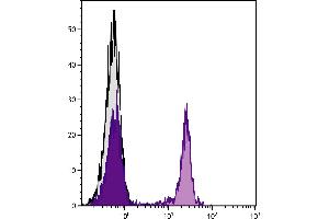 anti-Neutralite Avidin antibody (Cy5)