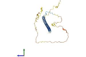 AlphaFold protein structure predicition of Human Recombinant TFPT Protein, UniprotID P0C1Z6