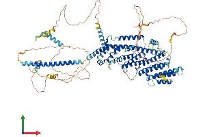 AlphaFold protein structure predicition of Human Recombinant PAXBP1 Protein, UniprotID Q9Y5B6