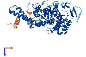 AlphaFold protein structure predicition of Human Recombinant NT5DC2 Protein, UniprotID Q9H857