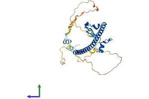 AlphaFold protein structure predicition of Mouse Recombinant Hlf Protein, UniprotID Q8BW74