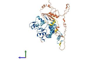 AlphaFold protein structure predicition of Human Recombinant ZNF177 Protein, UniprotID Q13360