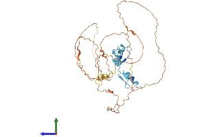 AlphaFold protein structure predicition of Human Recombinant KLF12 Protein, UniprotID Q9Y4X4