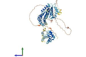 AlphaFold protein structure predicition of Mouse Recombinant Cdc6 Protein, UniprotID O89033