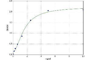 Jun Proto-Oncogene (JUN) ELISA Kit