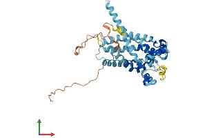 AlphaFold protein structure predicition of Human Recombinant SLC25A28 Protein, UniprotID Q96A46