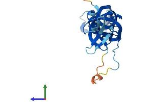 AlphaFold protein structure predicition of Mouse Recombinant Polr3h Protein, UniprotID Q9D2C6