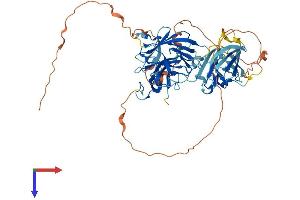 AlphaFold protein structure predicition of Mouse Recombinant Neurl1b Protein, UniprotID Q0MW30