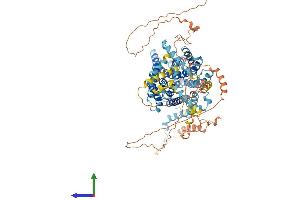 AlphaFold protein structure predicition of Mouse Recombinant Slc9a3 Protein, UniprotID G3X939