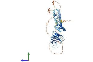 AlphaFold protein structure predicition of Mouse Recombinant Trim41 Protein, UniprotID Q5NCC3