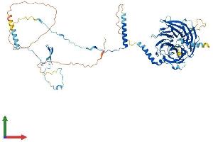 AlphaFold protein structure predicition of Mouse Recombinant Dnai1 Protein, UniprotID Q8C0M8