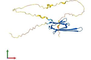 AlphaFold protein structure predicition of Mouse Recombinant Hspb8 Protein, UniprotID Q9JK92