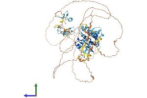 AlphaFold protein structure predicition of Human Recombinant ZNF280C Protein, UniprotID Q8ND82