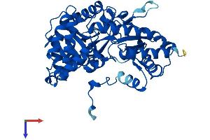 AlphaFold protein structure predicition of Mouse Recombinant Kyat1 Protein, UniprotID Q8BTY1