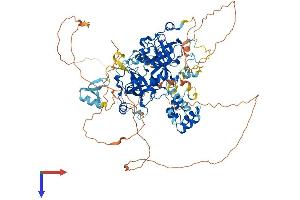 AlphaFold protein structure predicition of Mouse Recombinant L3mbtl3 Protein, UniprotID Q8BLB7