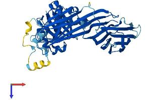 AlphaFold protein structure predicition of Human Recombinant AP3M1 Protein, UniprotID Q9Y2T2