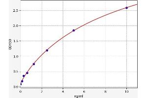WAP Four-Disulfide Core Domain 2 (WFDC2) ELISA Kit