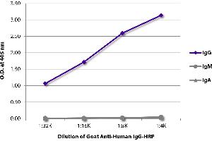 ELISA plate was coated with purified human IgG, IgM, and IgA. (Chèvre anti-Humain IgG (Heavy Chain) Anticorps (HRP))