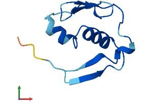 AlphaFold protein structure predicition of Mouse Recombinant Meig1 Protein, UniprotID Q61845