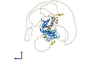 AlphaFold protein structure predicition of Human Recombinant SHC3 Protein, UniprotID Q92529