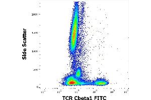 Flow cytometry surface staining pattern of human peripheral whole blood stained using anti-human TCR Cbeta1 (JOVI. (TCR, Cbeta1 anticorps (FITC))