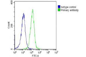 Overlay histogram showing Hela cells stained with Antibody (green line). (PFN1 anticorps  (AA 108-140))