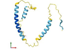 AlphaFold protein structure predicition of Human Recombinant KCNE1 Protein, UniprotID P15382