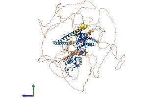 AlphaFold protein structure predicition of Human Recombinant BRD8 Protein, UniprotID Q9H0E9