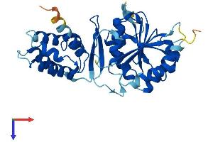 AlphaFold protein structure predicition of Mouse Recombinant Eef2kmt Protein, UniprotID Q3UZW7