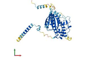 AlphaFold protein structure predicition of Mouse Recombinant Dync2li1 Protein, UniprotID Q8K0T2