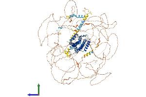 AlphaFold protein structure predicition of Mouse Recombinant Aff2 Protein, UniprotID O55112