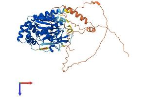 AlphaFold protein structure predicition of Mouse Recombinant Amz1 Protein, UniprotID Q8BVF9