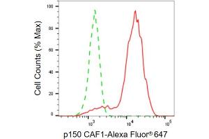 Flow cytometric analysis of p150 CAF1 expression in HepG2 cells using p150 CAF1 antibody (ABIN7798059), 1:2,000). (Recombinant CHAF1A anticorps)