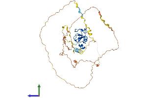AlphaFold protein structure predicition of Mouse Recombinant Rnf44 Protein, UniprotID Q3UHJ8