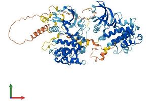 AlphaFold protein structure predicition of Human Recombinant RPS6KA2 Protein, UniprotID Q15349