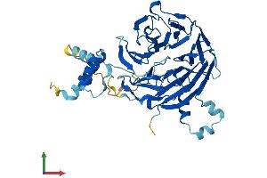 AlphaFold protein structure predicition of Mouse Recombinant Cstf1 Protein, UniprotID Q99LC2