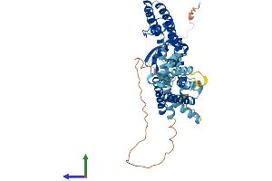AlphaFold protein structure predicition of Human Recombinant KCNF1 Protein, UniprotID Q9H3M0
