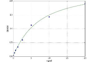 Regulator of G-Protein Signaling 7 (RGS7) ELISA Kit